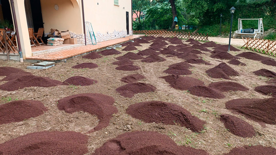 Preparazione terreno per posa prato a rotoli